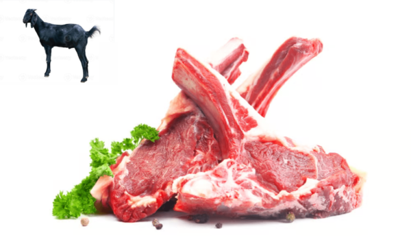 Goat Meat / 1 Kg